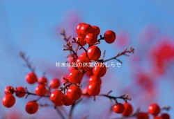 20120207130937402