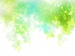 RRice-abstract-green-white-leaf